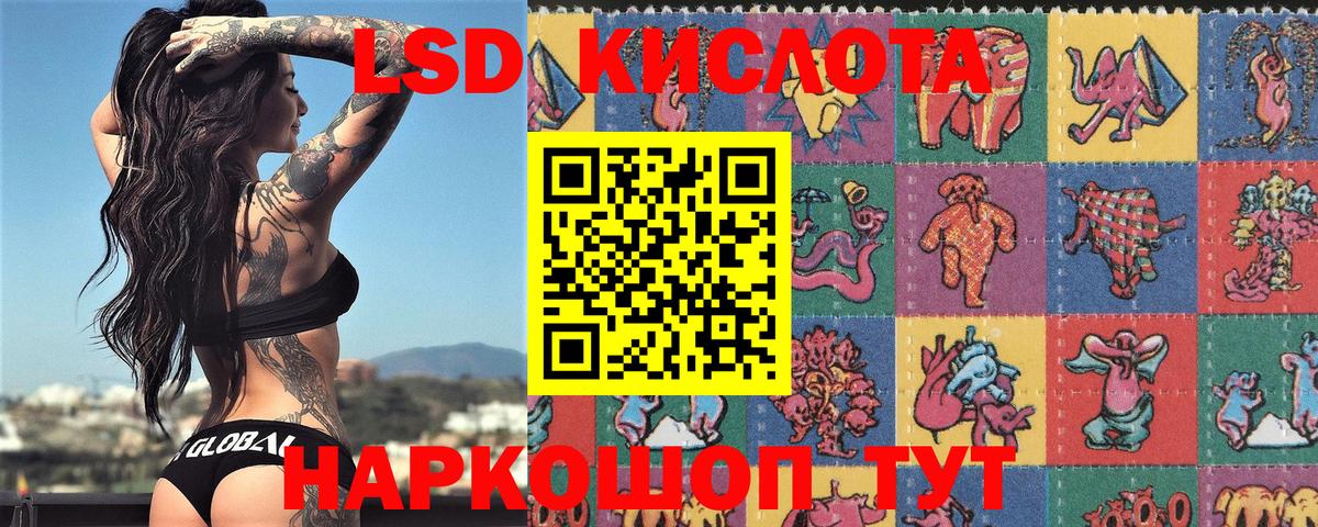 где можно купить наркотик  Марки 25I-NBOMe 1500мкг  Марки 25I-NBOMe 1500мкг  Вход с VPN  Волхов 