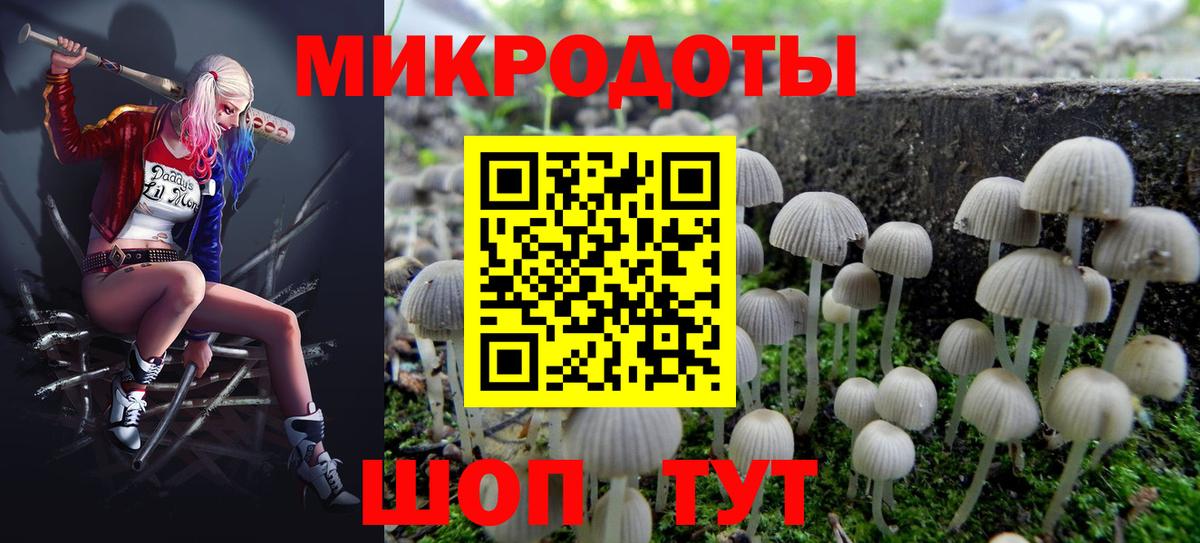Галлюциногенные грибы мицелий Волхов