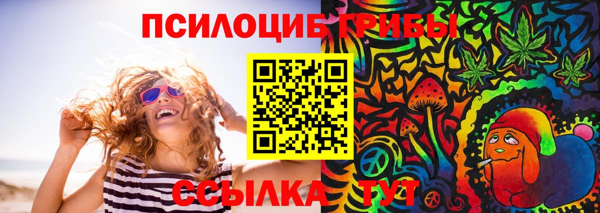 Волхов  Галлюциногенные грибы Cubensis  Вход с VPN  Псилоцибиновые грибы мицелий 