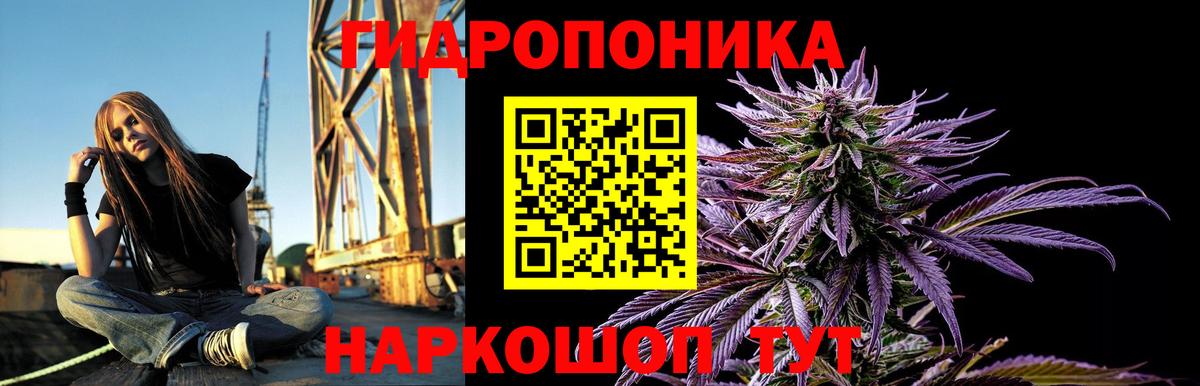 Бошки Шишки сатива  Вход с VPN  Волхов  Конопля THC 21%  Бошки марихуана конопля 